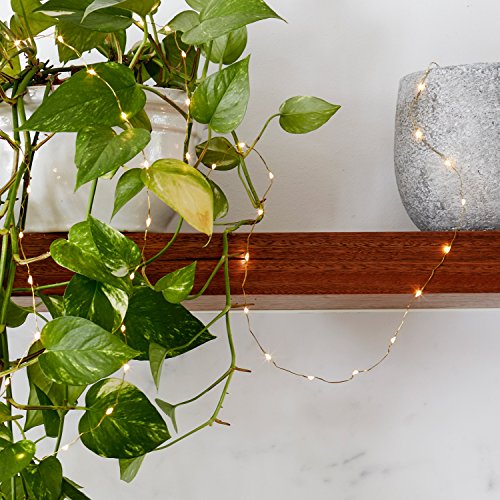 Preisvergleich Produktbild Lights4fun 100er LED Micro Lichterkette auf Messing Draht warmweiß 4,5V