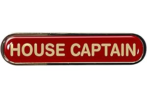 CAPRICORNONE House Captain Gel Domed School Bar Badge