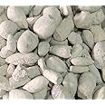 Ber Pathar / बेर पत्थर / Fossil Encrinite/Calcined Lime Silicate (100 Gms)