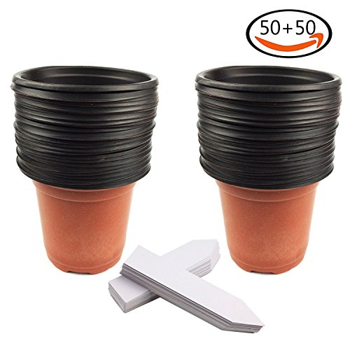 Whonline 50 Stück Plastik Blumentopf Pflanzgefäß und 50 Stück Weiße Etiketten