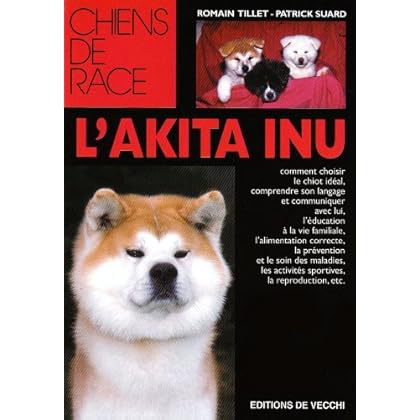 L'Akita-Inu L'Akita-Inu