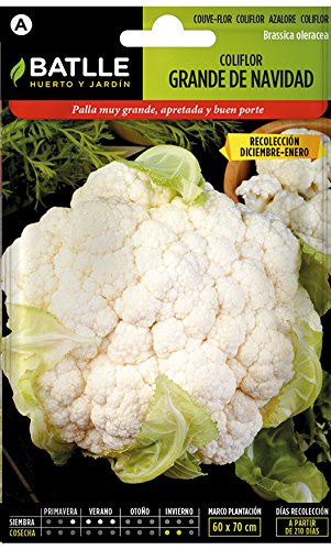 Semillas Hortícolas - Coliflor Grande Navidad (Dic-Ene) - Batlle