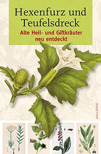 Hexenfurz und Teufelsdreck - Alte Heil- und Giftkräuter neu entdeckt
