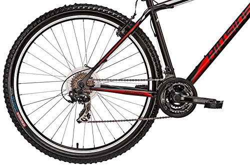 29“ Hillside Mountainbike Peak 2.0 Shimano Tourney 21 Gang Schaltung 19“ RH - 6