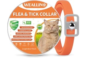 WEALLIN Collare Antiparassitario per Gatti, Collare Antipulci per Gatti con Protezione di 8 Mesi, Realizzato Con Oli Essenziali Naturali, Regolabile e Lmpermeabile Adatto a Tutti i Gatto, Arancione