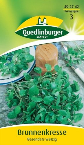 Brunnenkresse