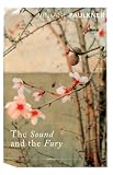 Image de The Sound And The Fury