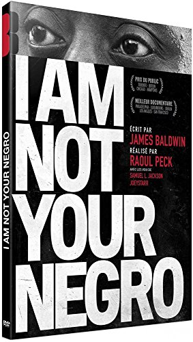 <a href="/node/40413">I am not your negro</a>