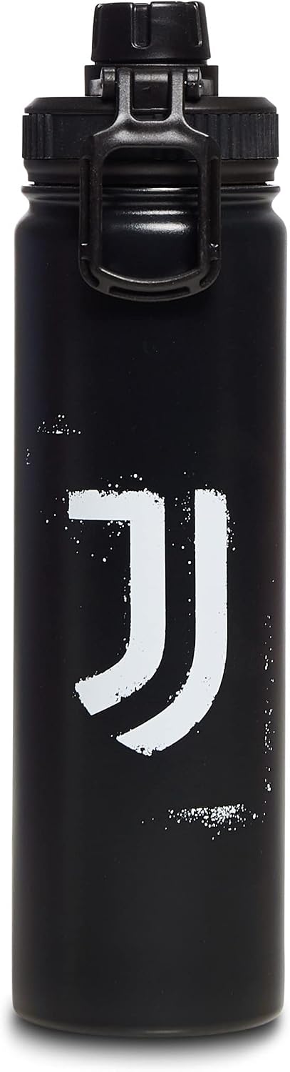 Vue 6