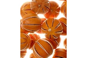 Floralcraft 10Pcs Dried Whole Oranges - Fresh Scented Dried Fruit Whole Oranges For Christmas Wreath Garlands, Pot Pourri, Florist Décor