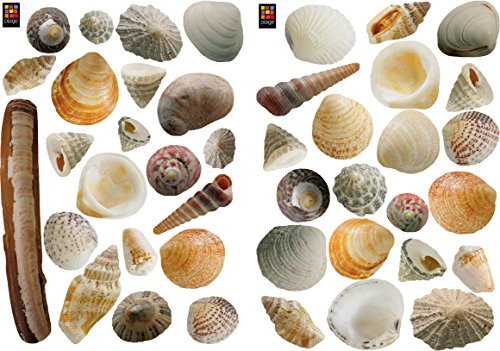 PLAGE 157104 Wandaufkleber-Muscheln, 2 Blätter, 29,7 x 21 cm