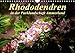 Produktbild Rhododendren in der Parklandschaft Ammerland / Geburtstagskalender (Wandkalender 2019 DIN A4 quer): Peter Roder mit einzigartigen Aufnahmen aus ... 14 Seiten (CALVENDO Natur)