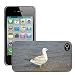 Produktbild hello-mobile Bild Hart Handy Schwarz Schutz Case Cover Schale Etui // M00137438 Möwe Wasser Ostsee Wasservogel // Apple iPhone 4 4S 4G