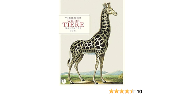 Thorbeckes Wilde Tiere Kalender 2021 Amazon De Bucher thorbeckes wilde tiere kalender 2021
