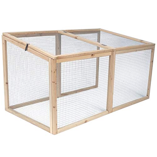 Volailles Poulailler Cm