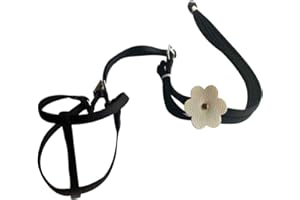 Genrics Bird Harness Parrot Leash Flying Anti-Bite Traction Rope Bird Training Outdoor Carrying Flight Rop Adjustable Fit Budgerigar Lovebird Cockatiel Mynah Scarlet Macaw Small Bird - Black