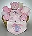Baby Girl Hamper Gift Basket Baby Shower Present
