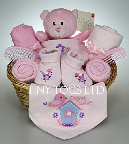 Baby Girl Hamper Gift Basket Baby Shower Present