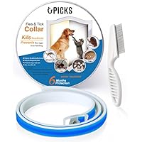 [Gesponsert]Hund Flohhalsband, 6 Monate Kontrolle Schutz für Hunde Katzen, verstellbar Größe & Wasserfest, Flöhe und Zecken Stop Pest Bites & Juckreiz