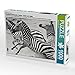 Produktbild Ein Motiv aus dem Kalender Emotionale Momente: Zebras - black and white. 1000 Teile Puzzle quer