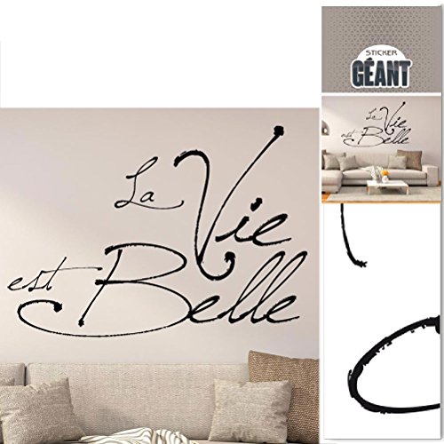 Preisvergleich Produktbild La Vie Est Belle Wandtattoo
