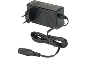 INJUSA - Chargeur pour Batterie au Plomb-Acide de 24V Uniquement Compatible avec Les Véhicules Électriques Injusa 24V | Motos | Voitures | Quads à Batterie