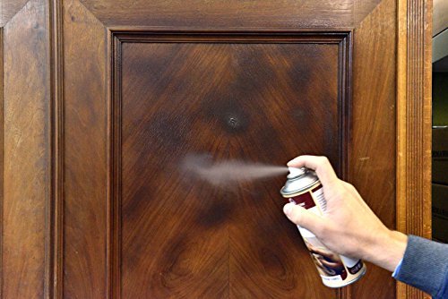Möbelwachs Spray Holz Wachs Bienenwachs WAX 400ml (Honig) - 4