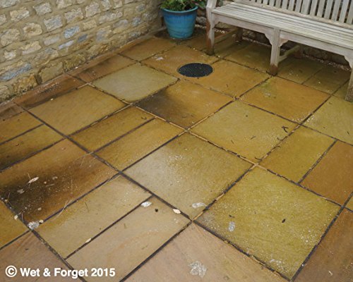 Wet & Forget - Moss Mould Lichen & Algae Remover (5 Litre) cleans anything with no effort