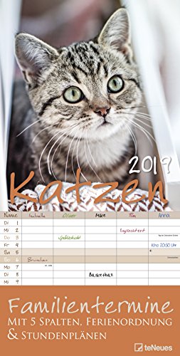 Preisvergleich Produktbild Katzen 2019 - Familientermine 5 Spalten, Katzenkalender - 23 x 45,5 cm