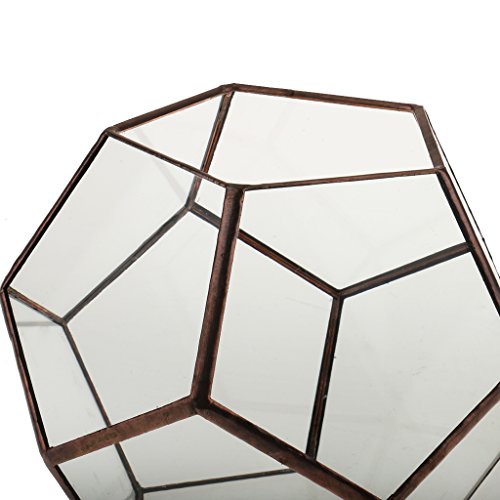 Mini Glas Terrarium Geometrisches Glas Sukkulente Pflanzen Pflanzgefäß Deko – 15 x 15 x 15cm - 3