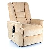 Biscuit Aspen Riser Recliner (Single Motor)