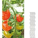 10 Tomatenspiralstäbe 110cm voll verzinkt Tomatenstab Tomaten Ranke Pflanzstab Stahl Profi Qualität Tomatenspiralstab