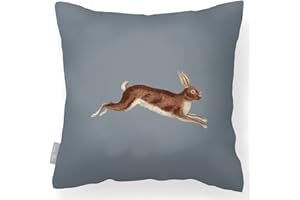 Izabela Peters Outdoor Cushions Waterproof, 43 cm, Filled Outdoor Cushion, Hare - Grey, Garden Furniture Cushions, Outdoor Seat Cushions, Garden Chair Cushions