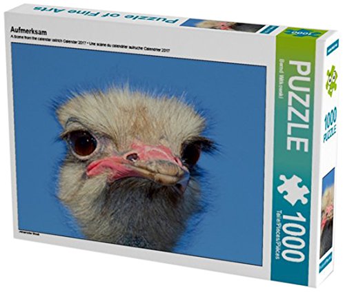 Aufmerksam 1000 Teile Puzzle quer: Afrikanischer Strauß (CALVENDO Tiere)