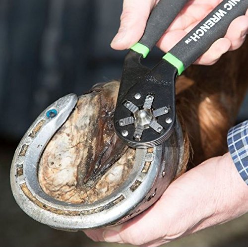 Logger Head Tools BW8-01R-01 Bionic Wrench 8 Inch Adjustable Wrench CustomerPackageType: Standard Packaging Style: Retail Packaging - 2