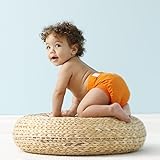 gNappies Little gPants Stoffwindel organge, Größe L (10-16 kg) - 3