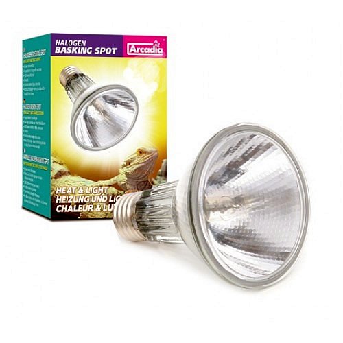 Arcadia sha100e27 Reptile focos halógenos Basking (No UV)