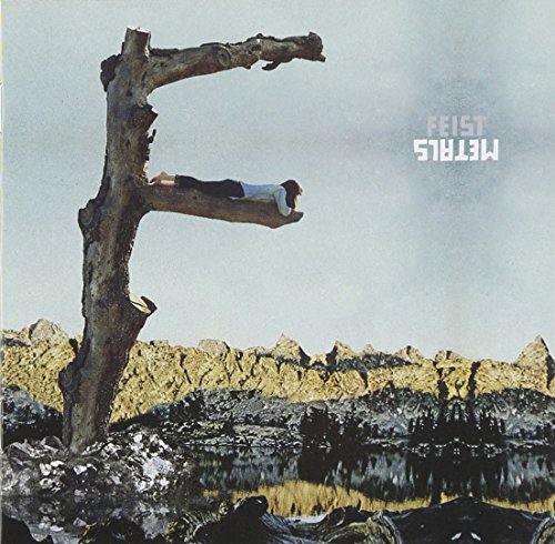 Book's Cover ofMetals