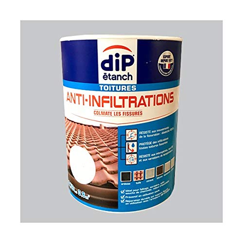DIP ETANCH TOITURE 0L75 GRIS CIMENT