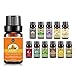 Produktbild Premium Therapeutische ätherisches Öl Geschenk Set Aromatherapie Öl Top 12 PCS KIT