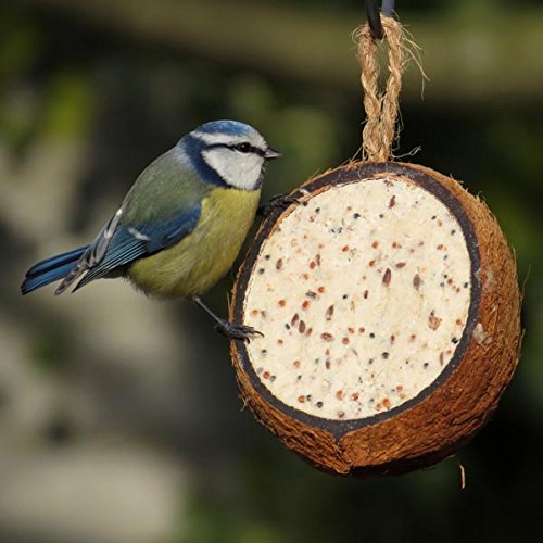Gefüllte Kokosnuss - Original (6 x 250g)