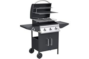 Barbecue a Gas con Pietra Lavica BBQ a Gas 3 Fuochi + Fornello Laterale Struttura in Acciaio con Termometro Incorporato Pratiko Life