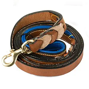 Petsup Handmade Braided Padded Leather Dog Leash (6 Feet X 1 Inch, Tan/Blue)