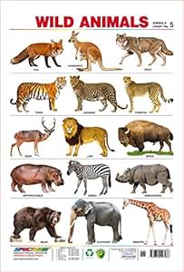 Spectrum Pre-School Kids Learning Poster Educational Wild Animals Name