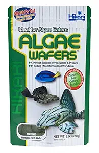 Hikari Tropical Algae Wafers Aquarium Fish Food (250 g)