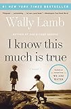 Image de I Know This Much Is True: A Novel
