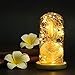 Produktbild samLIKE Künstlich Gypsophila Licht Eternal Blume Ewige Rose mit LED-Licht mit Glas Lampenschirm Rose unter Glasglocke, Geschenk für Valentinstag/Geburtstag/Muttertag/Weihnachten (Mehrfarbig)