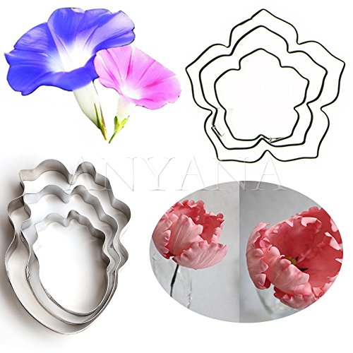 anyana Metall Zuckerguss Keks-Ausstecher Parrot Tulip Backen Morning Glory Blumen-Set von 6 Sugarcraft Kuchen dekorieren Cupcake Form Tools Topper Edelstahl Gebäck