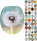 passend für alle handelsüblichen WC-Becken (Hänge- und Steh WC-Becken)