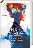 Fire & Frost, Band 1: Vom Eis berührt by Elly Blake, Yvonne Hergane